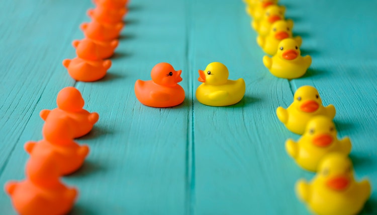Line of yellow and orange rubber ducks, moving in opposite orderly lines, with one yellow and one orange duck breaking ranks of their lines to meet together in the middle, set on a turquoise colored wooden grained background, conceptually representing water. Concept image representing; standing out from the crowd, meeting, against the grain, freedom, individuality, change, innovation etc.