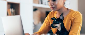 Young afro-american woman sitting with her pet dog and using laptop at home