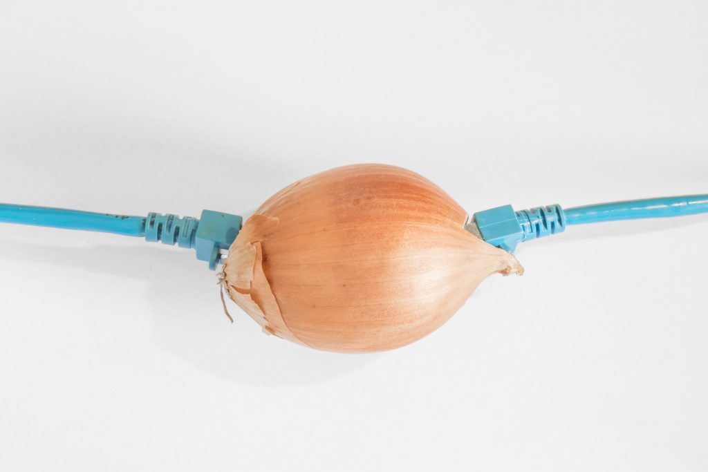 onion with ethernet cables