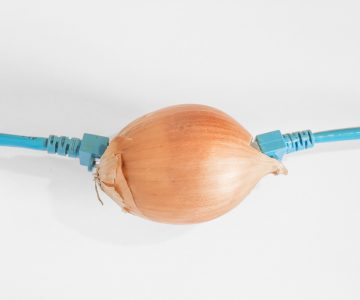 onion with ethernet cables