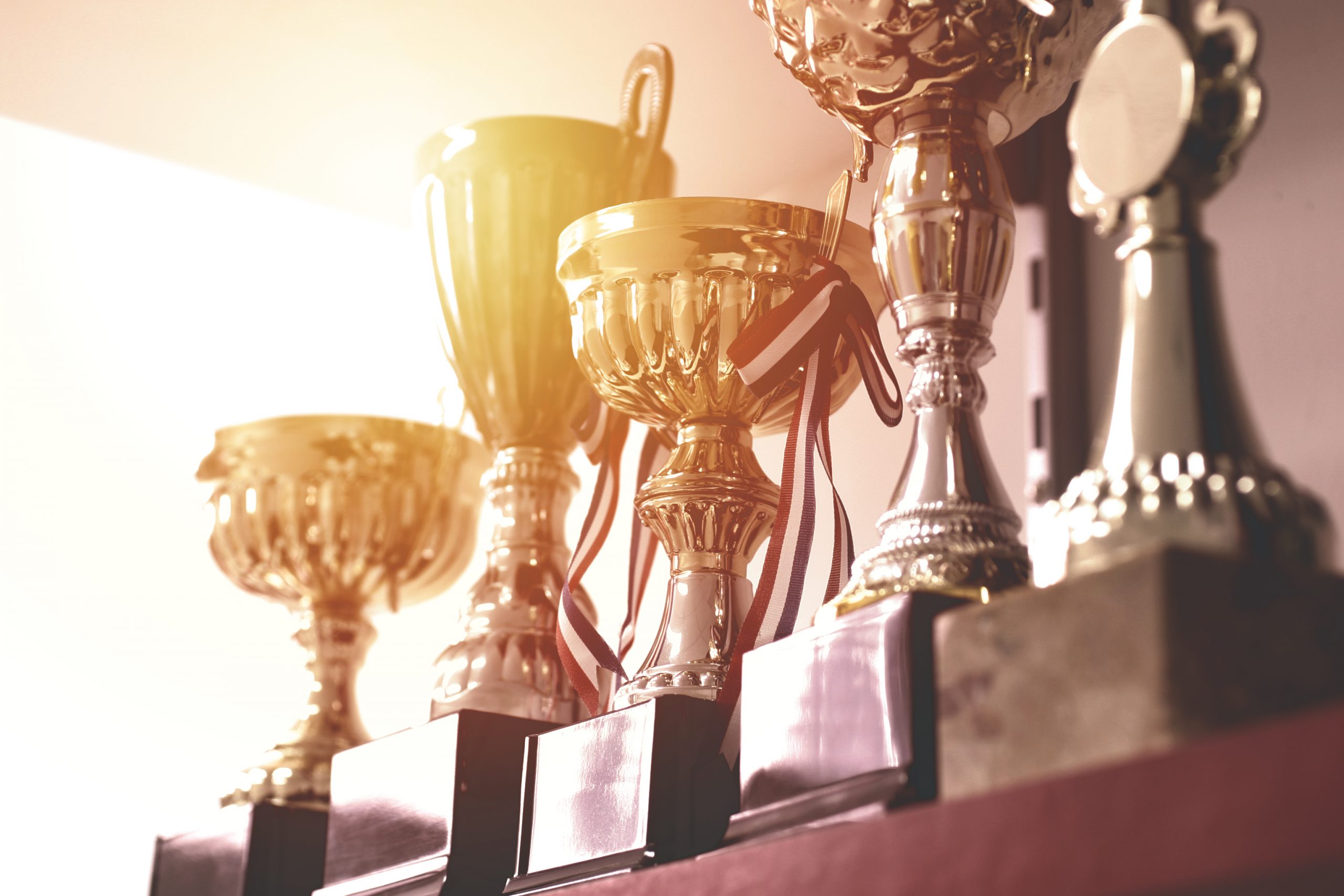 Group of trophies on shelf.