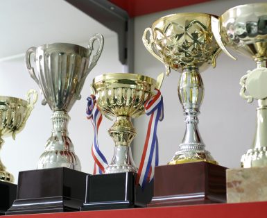 Group of 5 trophies