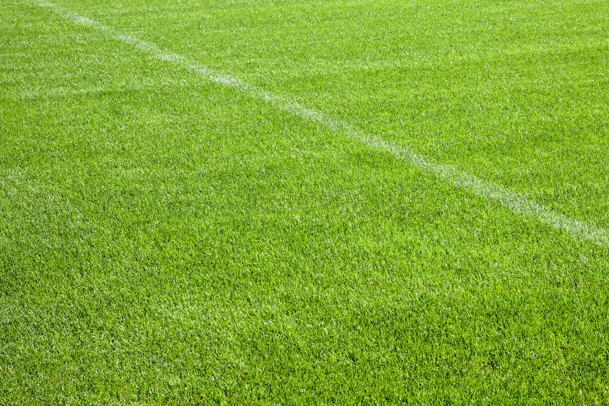 Football grass background